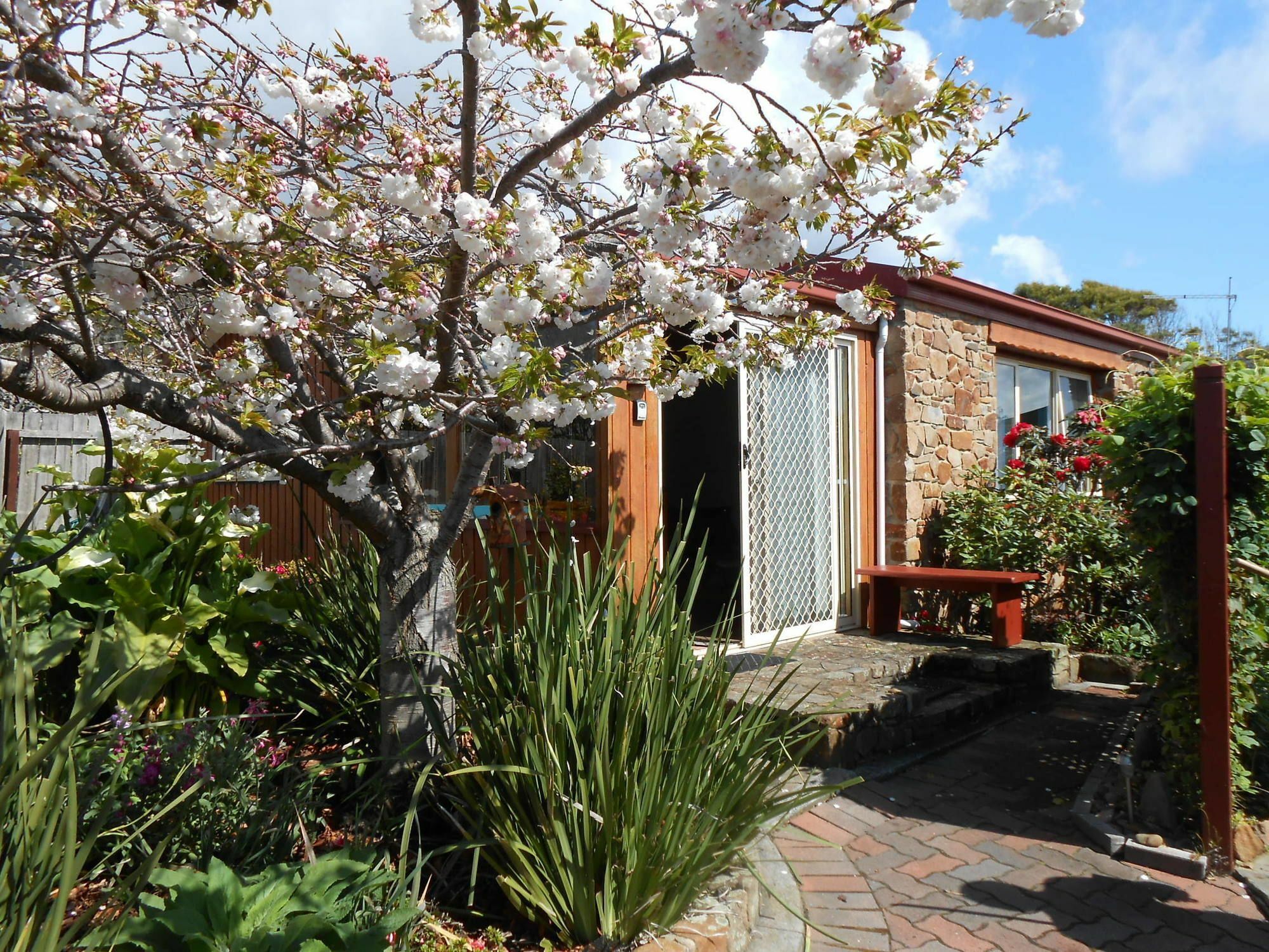 The Penguin Room - Tidelines Of Bicheno Exterior foto